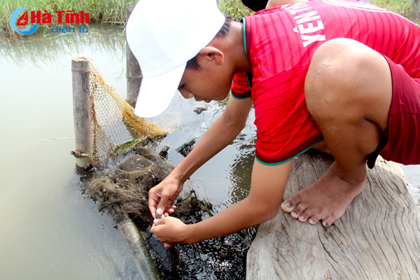 sau mua bao cac can thu tro tai cau ca