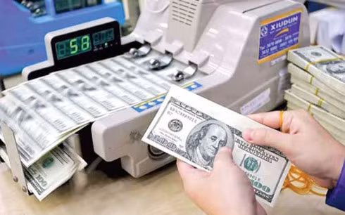 ngan hang nha nuoc cam cac ngan hang canh tranh lai suat huy dong von ngoai te