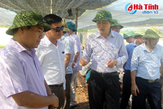 viec chuyen doi cay trong cua cong ty binh ha phai dam bao dung quy trinh