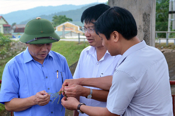lanh dao ha tinh kiem tra cong tac phong chong con bao so 10
