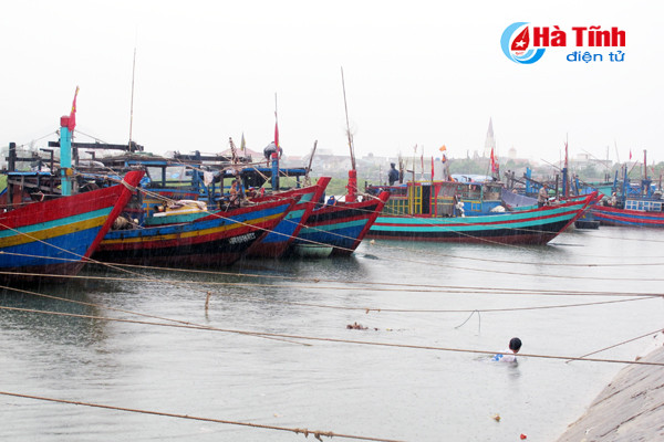 ha tinh hoi ha phong chong con bao lon nhat tu nhieu nam nay