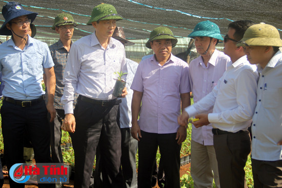 viec chuyen doi cay trong cua cong ty binh ha phai dam bao dung quy trinh