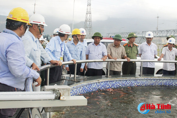 formosa can dam bao san xuat chung tay giup do nhan dan thiet hai do bao