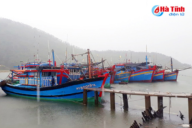 ha tinh hoi ha phong chong con bao lon nhat tu nhieu nam nay