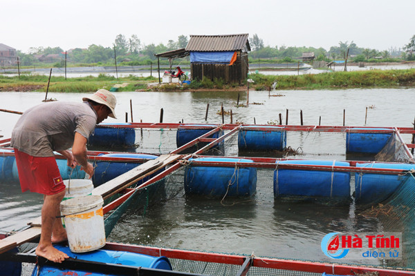 cac ho nuoi trong thuy san chay dua voi bao