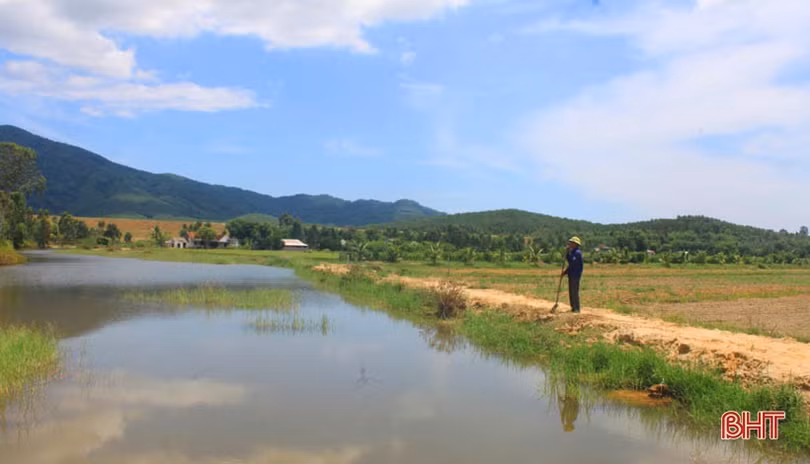 Cựu lính Hà Tĩnh tự mình đắp đập, biến “vùng đất chết” thành xóm Trại trù phú