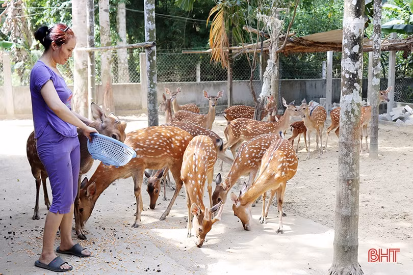 Tiếp bước truyền thống, xây dựng Hương Sơn phát triển nhanh, bền vững