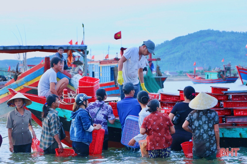 Ngư dân được mùa cá đốm, chợ Cồn Gò tấp nập kẻ bán người mua