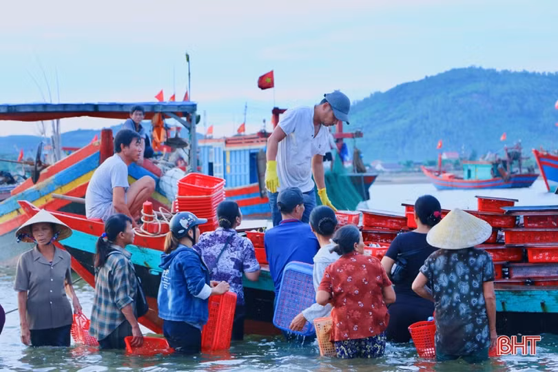 Ngư dân được mùa cá đốm, chợ Cồn Gò tấp nập kẻ bán người mua