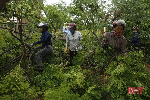 Nhịp sống vùng “tâm bão” Hà Tĩnh trở lại bình thường