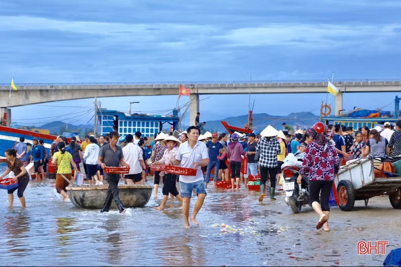 Ngư dân được mùa cá đốm, chợ Cồn Gò tấp nập kẻ bán người mua