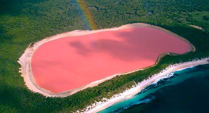 Những điều kỳ thú của tự nhiên có thể bạn chưa biết