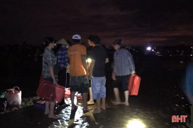 Ngư dân được mùa cá đốm, chợ Cồn Gò tấp nập kẻ bán người mua