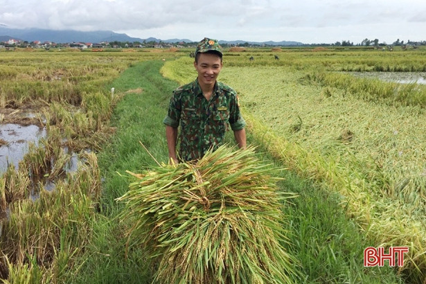 Biên phòng Cửa Sót giúp dân gặt lúa “chạy” úng ngập