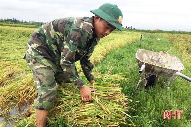 Biên phòng Cửa Sót giúp dân gặt lúa “chạy” úng ngập