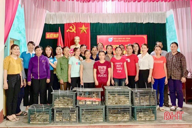 Hội Phụ nữ Hà Tĩnh trao mô hình sinh kế cho hội viên khó khăn