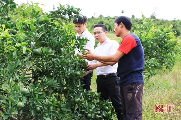 Agribank Hà Tĩnh II tăng gần 1.500 tỷ đồng nguồn vốn và dư nợ