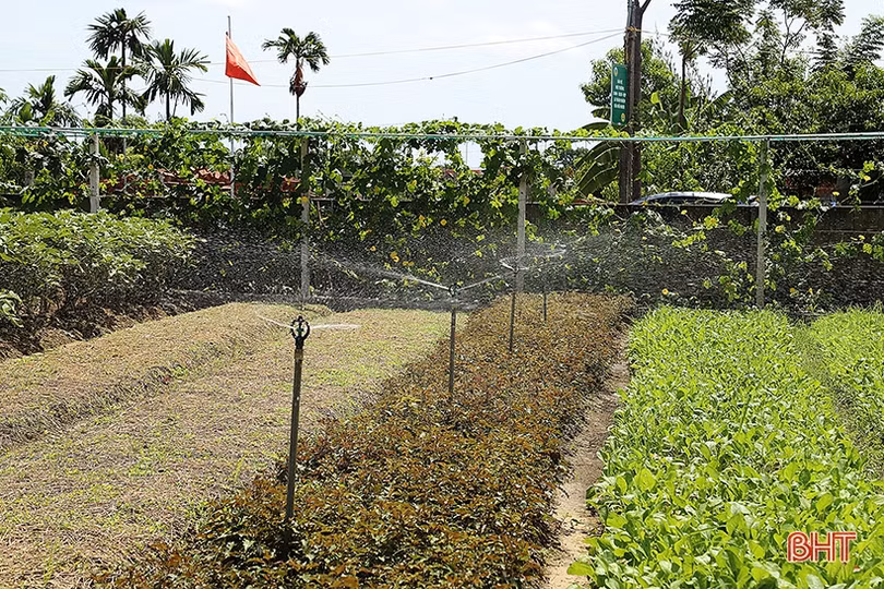 Về Hà Tĩnh, xem nông dân “hi-tech” làm kinh tế