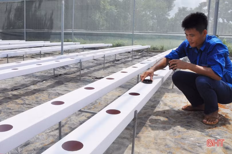 Lợi nhuận cao, xã ven đô Hà Tĩnh “rộ” nghề trồng dưa lưới