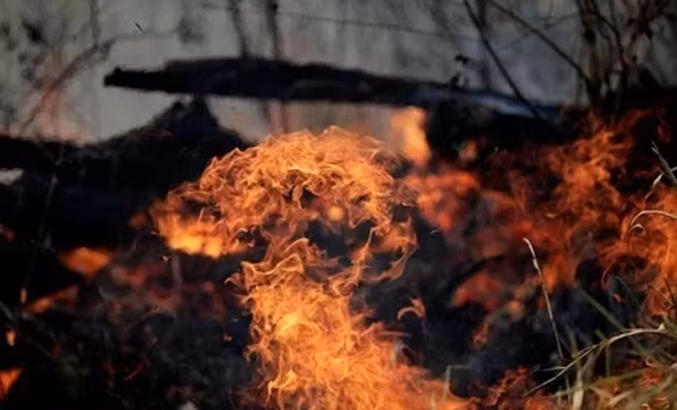 Thế giới ngày qua: Hàng triệu người ký đơn phản đối Thủ tướng “treo” Nghị viện Anh