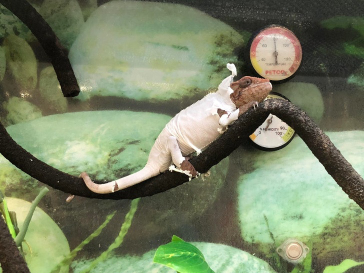 Những điều kỳ thú của tự nhiên có thể bạn chưa biết