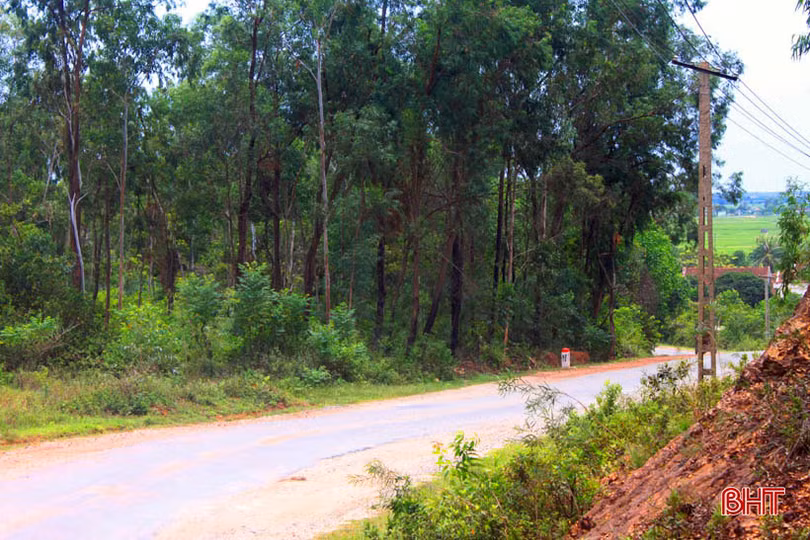 Truông Gió - Tiếng vọng mùa thu...