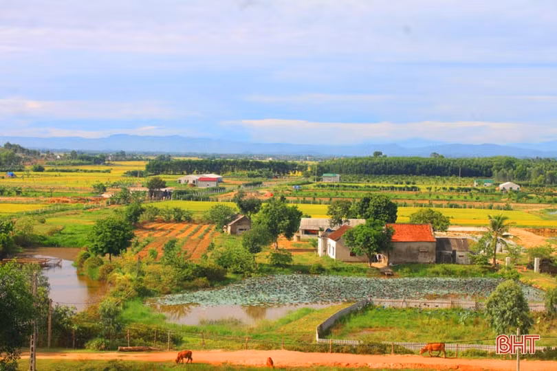 Cựu lính Hà Tĩnh tự mình đắp đập, biến “vùng đất chết” thành xóm Trại trù phú