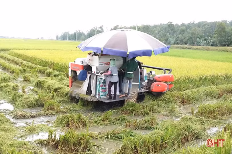 Bí thư Tỉnh ủy Lê Đình Sơn: Tăng cường lực lượng, đảm bảo an toàn tính mạng và tài sản cho người dân