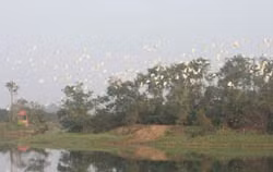 Cuối năm nay khu du lịch sinh thái Xanh (Green) sẽ đi vào hoạt động