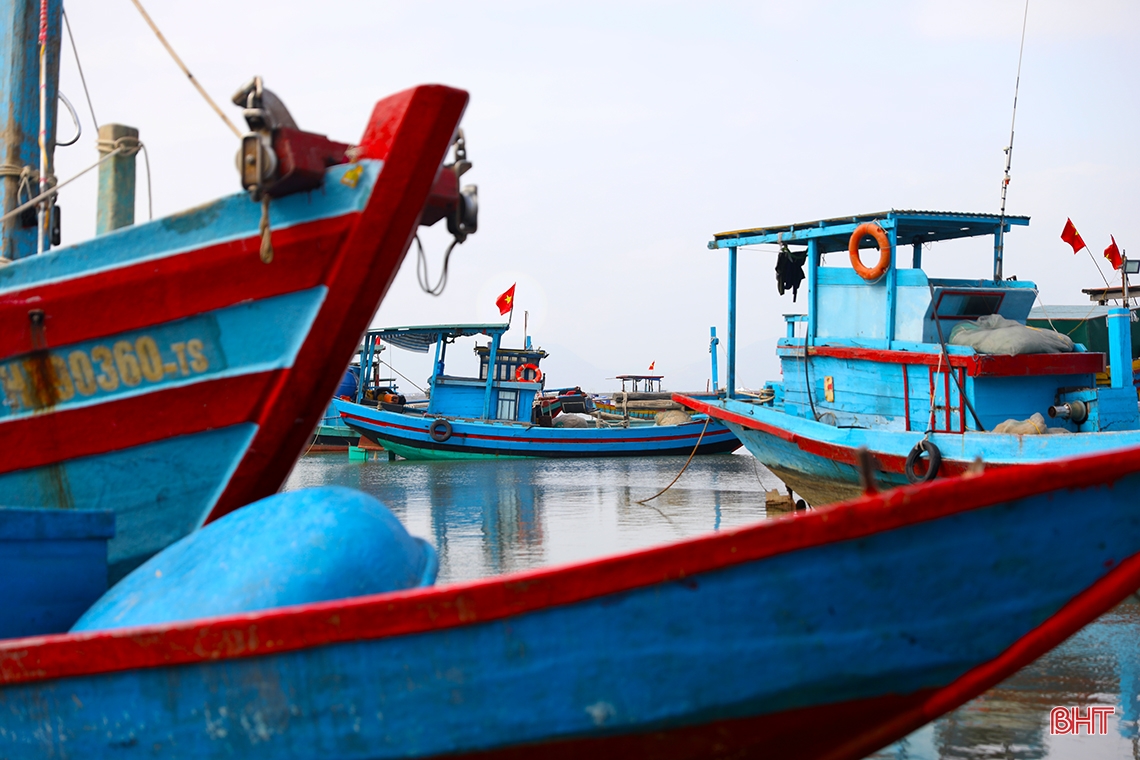 Ngư dân Hà Tĩnh trúng “lộc biển đầu năm