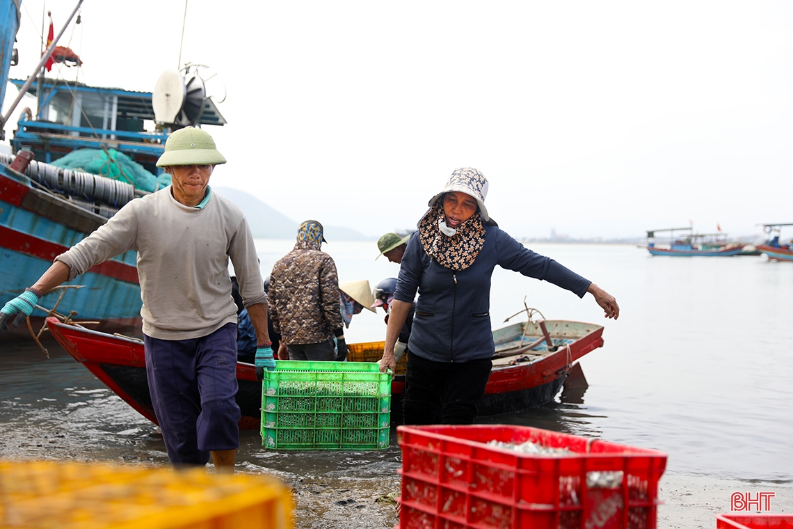 Ngư dân Hà Tĩnh trúng “lộc biển đầu năm
