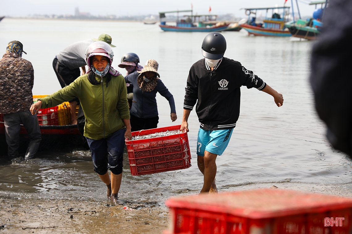 Ngư dân Hà Tĩnh trúng “lộc biển đầu năm