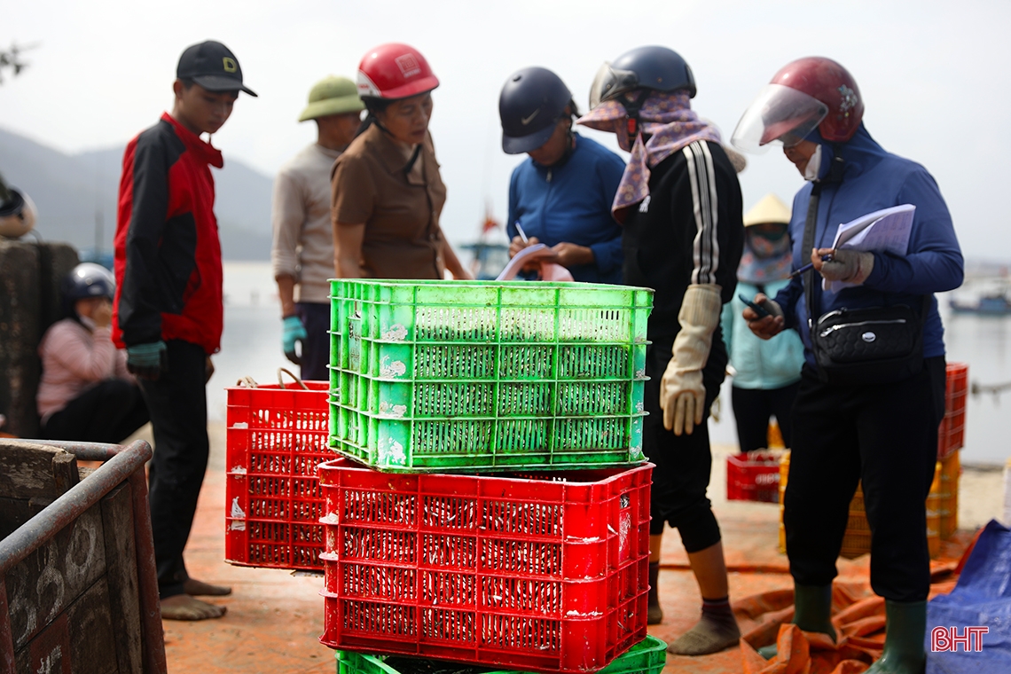 Ngư dân Hà Tĩnh trúng “lộc biển đầu năm