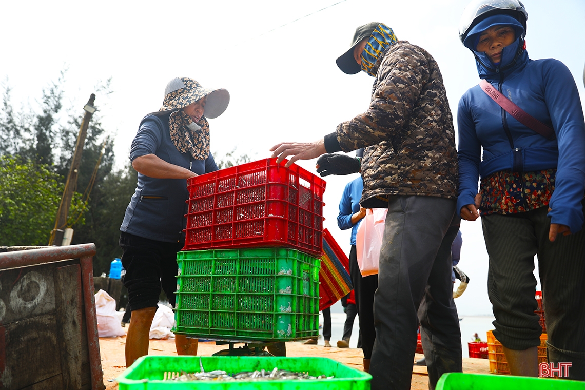 Ngư dân Hà Tĩnh trúng “lộc biển đầu năm