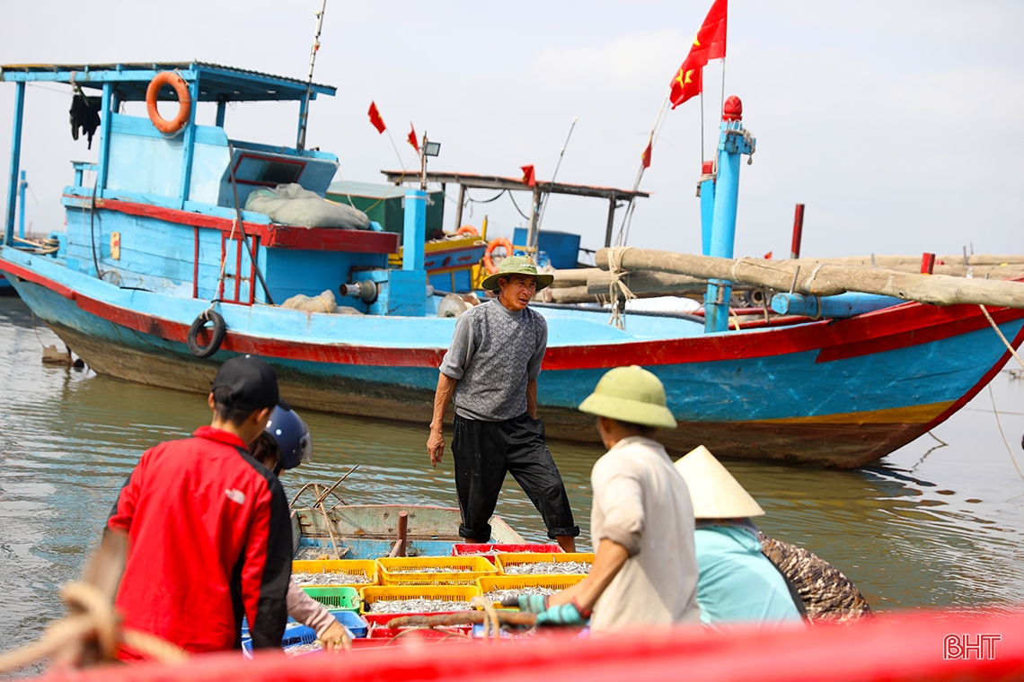 Ngư dân Hà Tĩnh trúng “lộc biển đầu năm