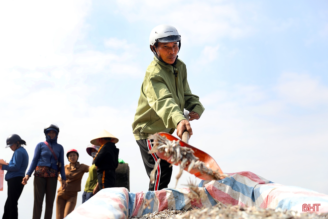 Ngư dân Hà Tĩnh trúng “lộc biển đầu năm