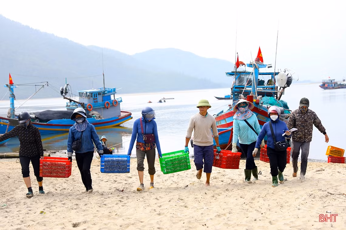 Ngư dân Hà Tĩnh trúng “lộc biển đầu năm