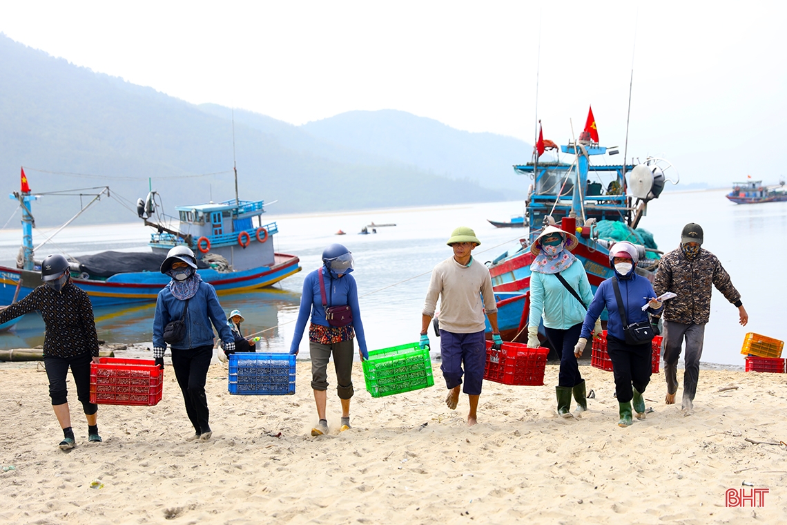 Ngư dân Hà Tĩnh trúng “lộc biển đầu năm