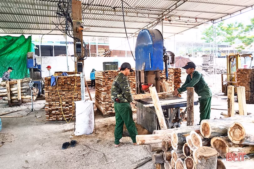 Gỗ keo tràm “rớt giá”, người trồng lẫn người buôn gặp khó