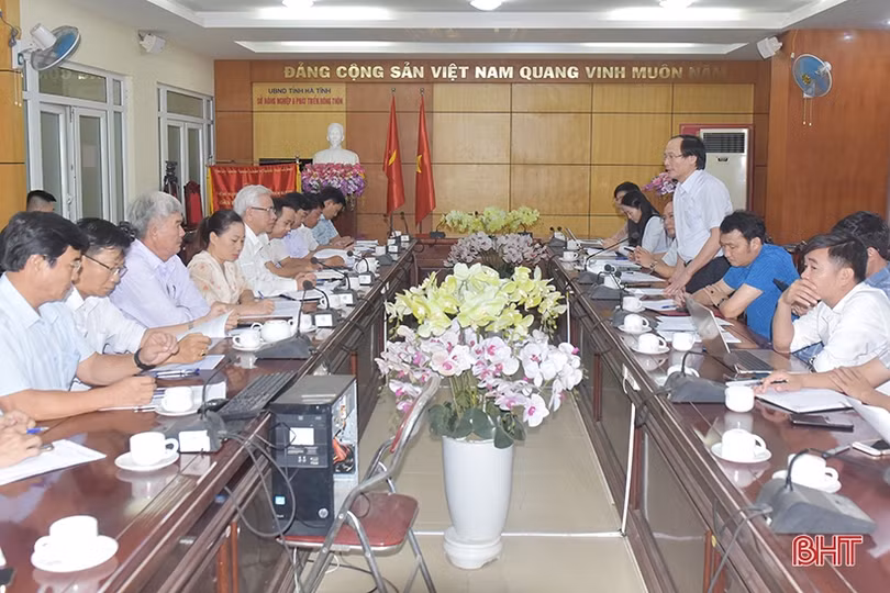 Hà Tĩnh - Bình Định chia sẻ kinh nghiệm về xây dựng nông thôn mới