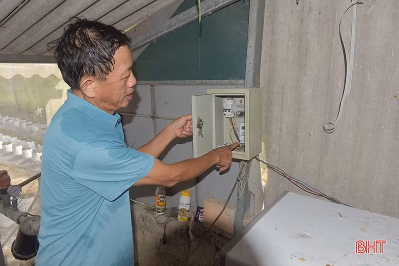 Đam mê dẫn lối thành công với trang trại nông nghiệp công nghệ cao