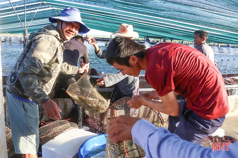 Nuôi tôm công nghệ cao thu lãi trên 600 triệu đồng/ha ảnh 6 Nuôi tôm công nghệ cao thu lãi trên 600 triệu đồng/ha