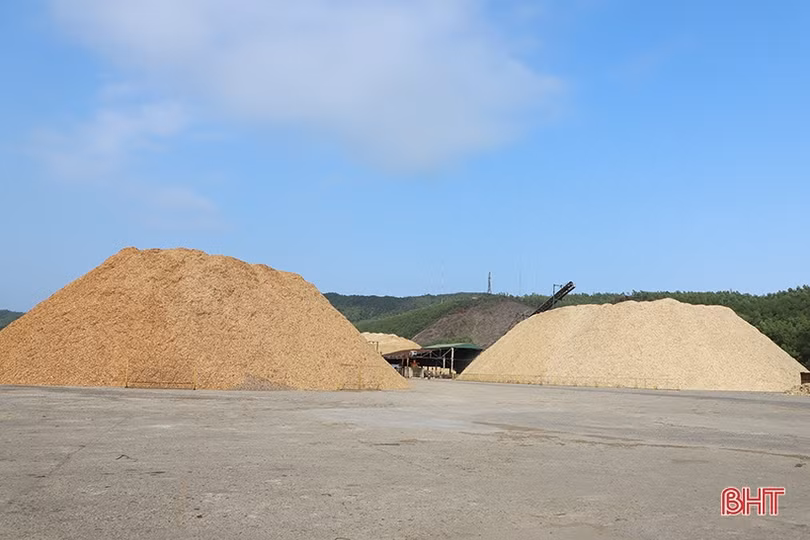 Xuất khẩu Hà Tĩnh nỗ lực “cán đích” 2 tỷ USD