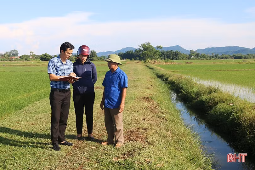 Đồng lúa An Dũng - bao giờ hết cảnh chờ mưa?