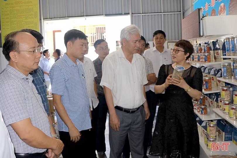 Đoàn công tác tỉnh Bình Định ấn tượng trước các mô hình nông thôn mới tại Hà Tĩnh