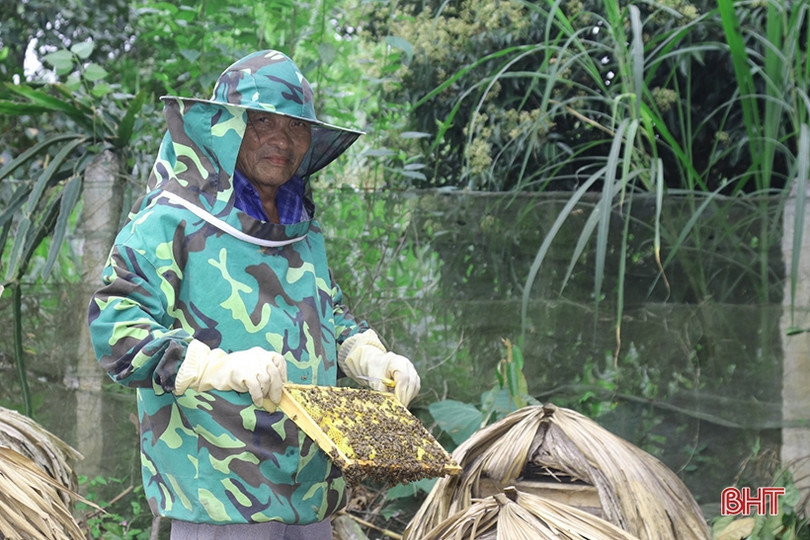 Nông dân Vũ Quang ước thu hơn 90 tấn mật ong