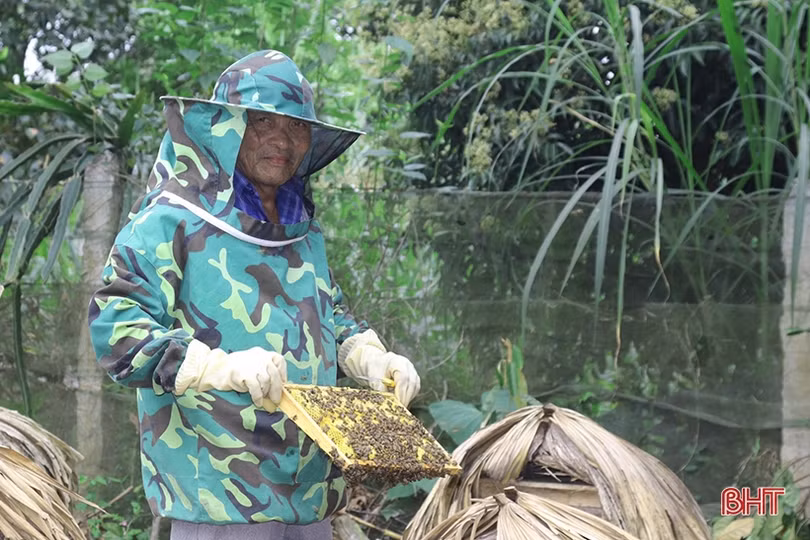 Nông dân Vũ Quang ước thu hơn 90 tấn mật ong