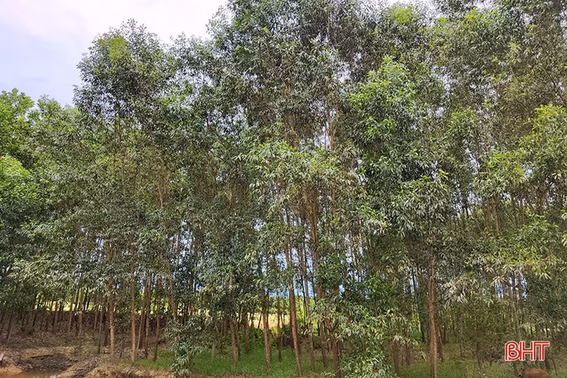 9 dự án hơn 730 tỷ đồng chọn Hương Khê làm bến đỗ