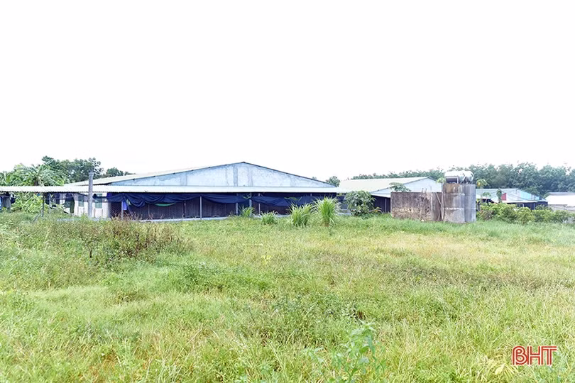 Đam mê dẫn lối thành công với trang trại nông nghiệp công nghệ cao