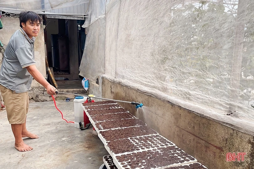 Đổi đời nhờ trồng dưa lưới trong nhà màng